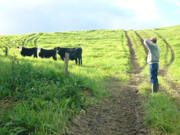 contact energy jun 1 005