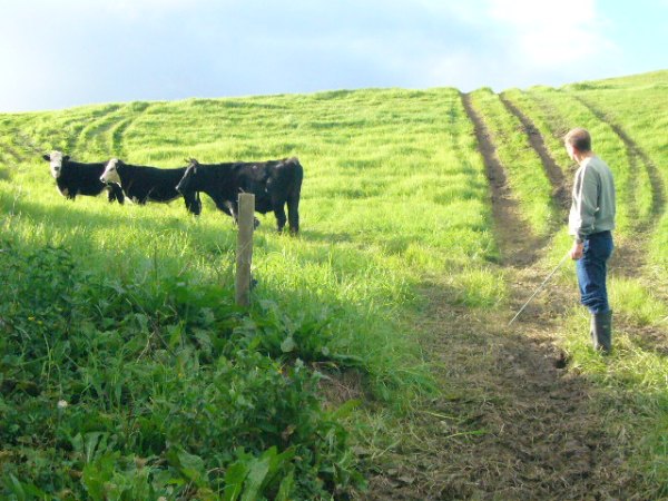 contact energy jun 1 007