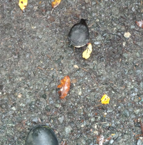 ???????????????????????????????