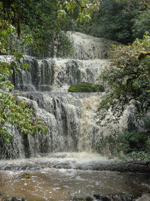 ???????????????????????????????